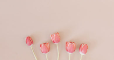 stop-saying-good-job