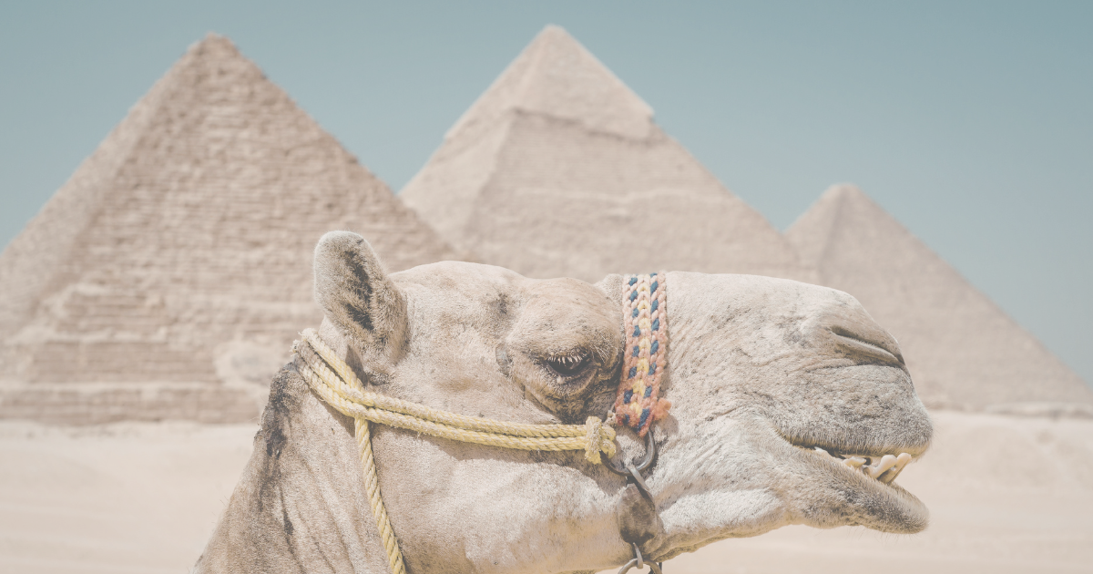 why-women-groups-feel-exhausting